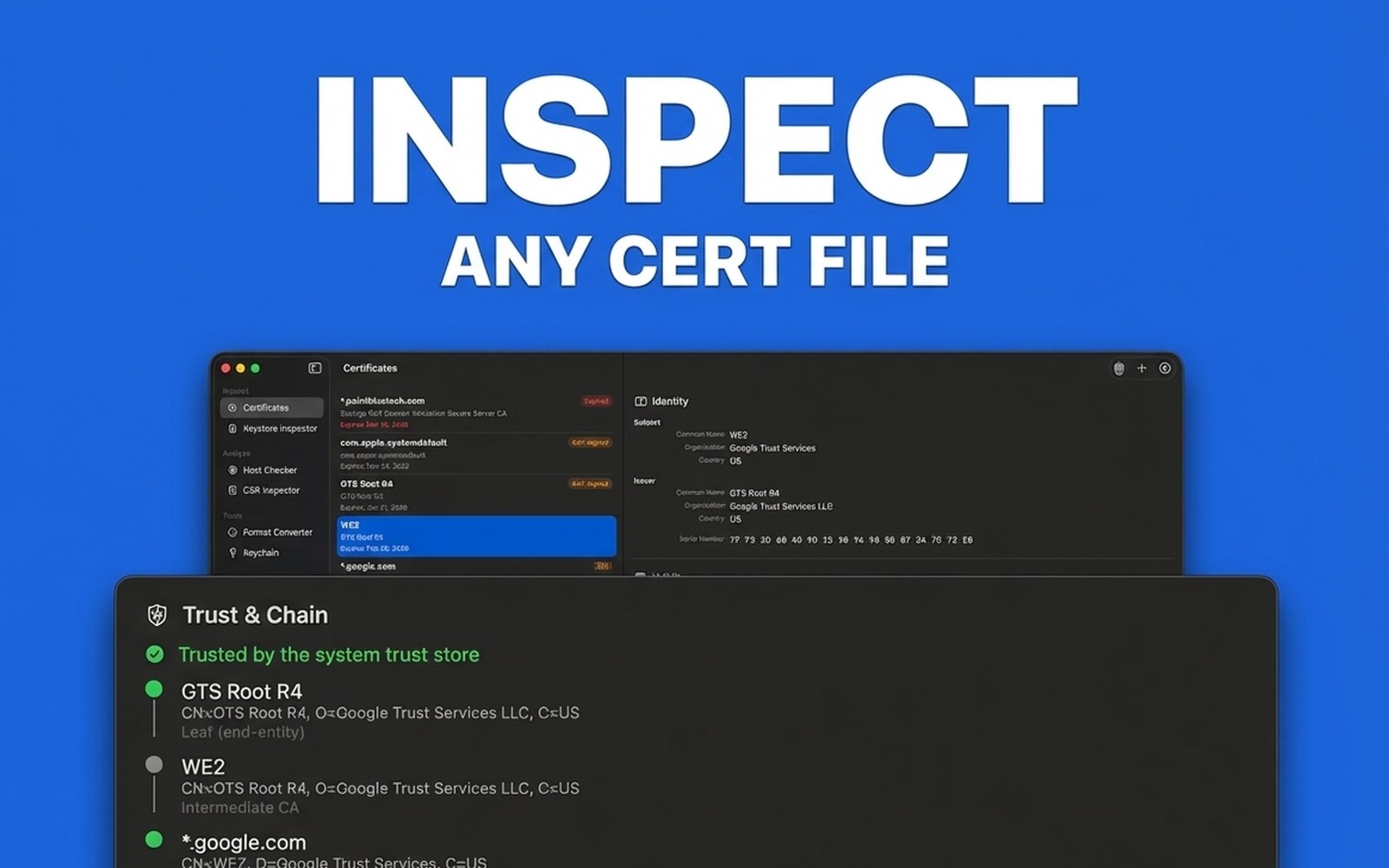 Inspect Any Cert File